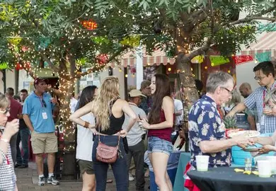 Agave Festival